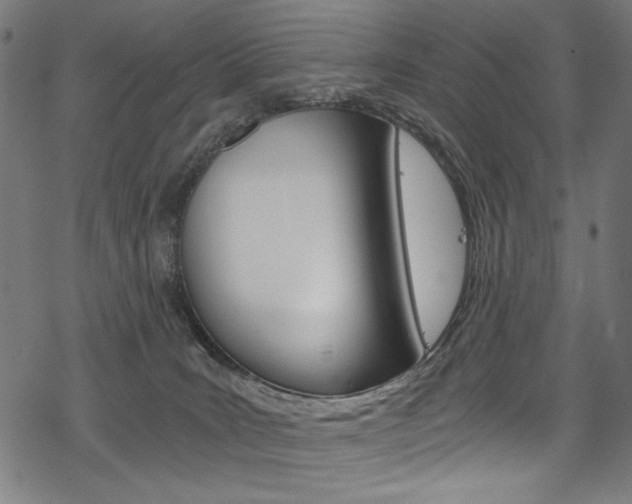 X0000078300035200611031028