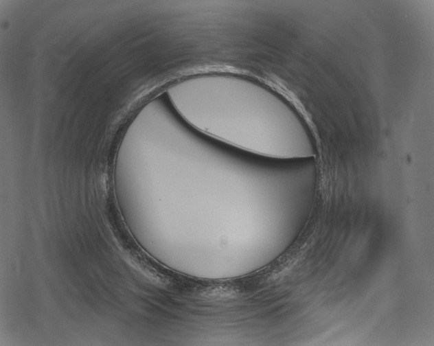 X0000078300063200611031027