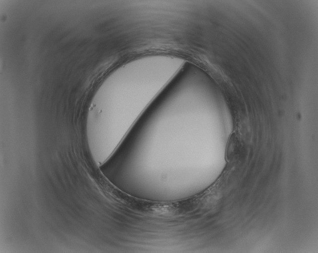 X0000078300070200611031028