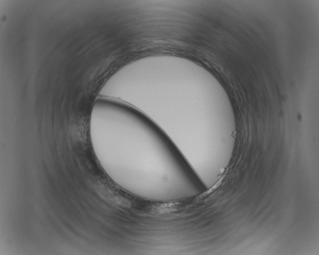 X0000078300078200611031028