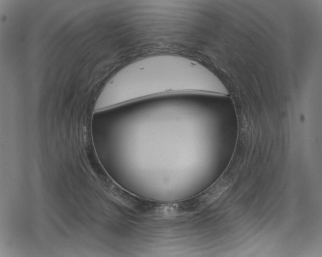 X0000078300080200611031028