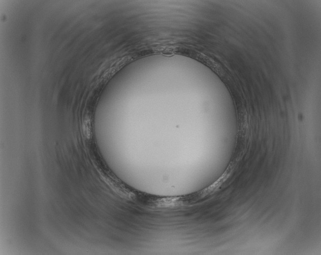 X0000078300090200611031028