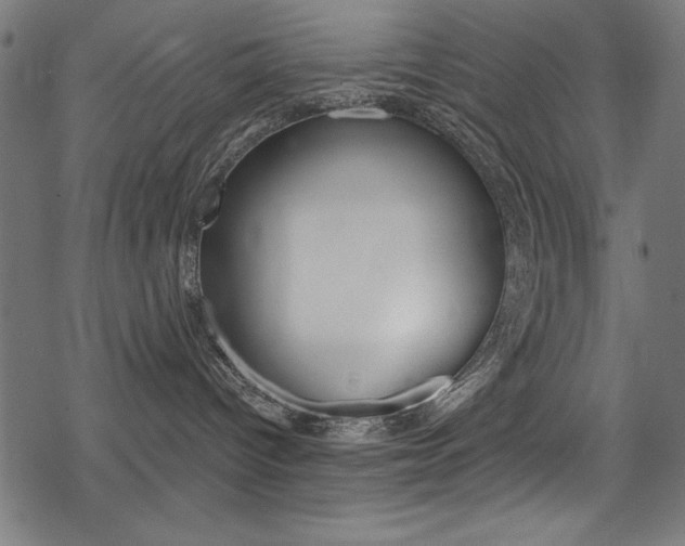 X0000078300096200611031028
