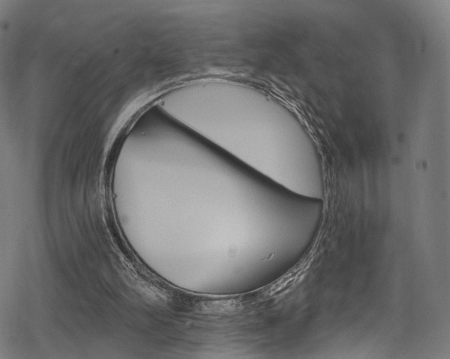 X0000078300102200611031027