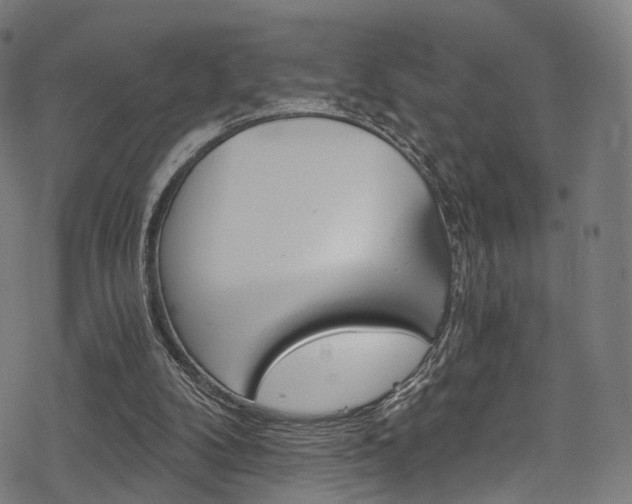 X0000078300104200611031027