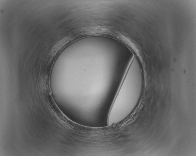 X0000078300105200611031027