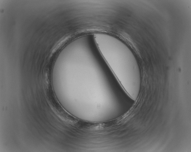 X0000078300116200611031027