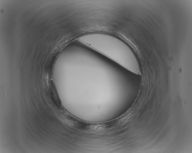 X0000078300117200611031027