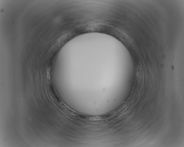 X0000078300127200611031027
