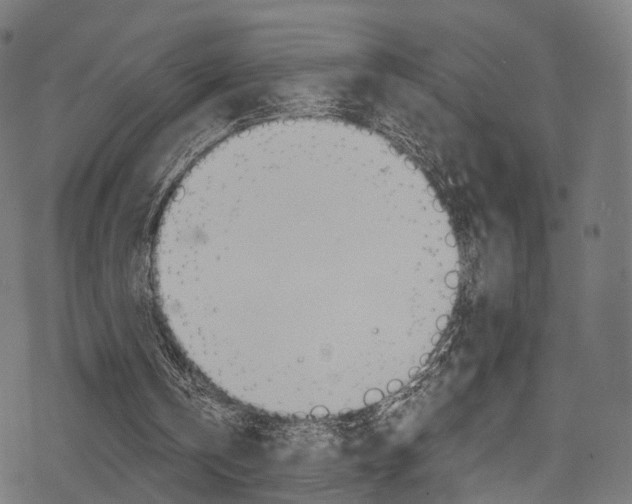 X0000078300146200611031026