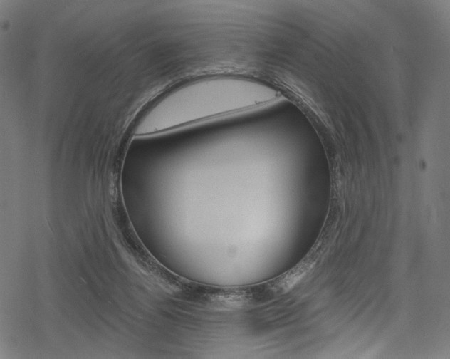 X0000078300164200611031026