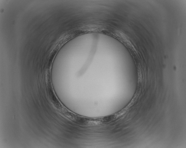 X0000078300167200611031026