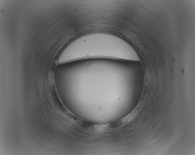 X0000078300172200611031026