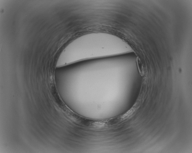 X0000078300176200611031026