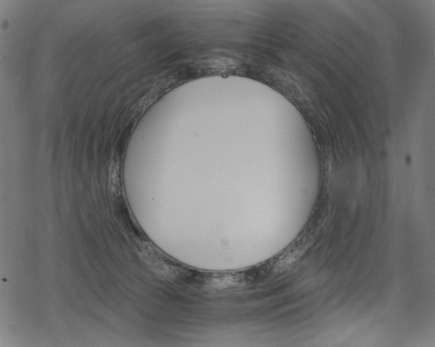 X0000078300177200611031026