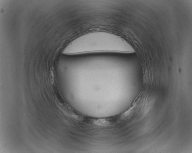 X0000078300183200611031026
