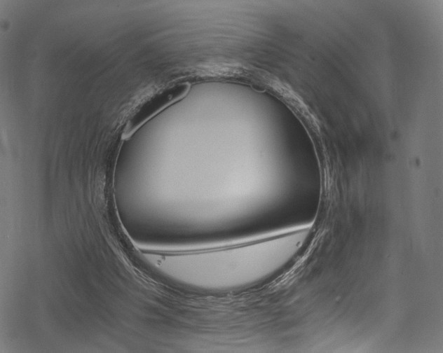 X0000078300201200611031025