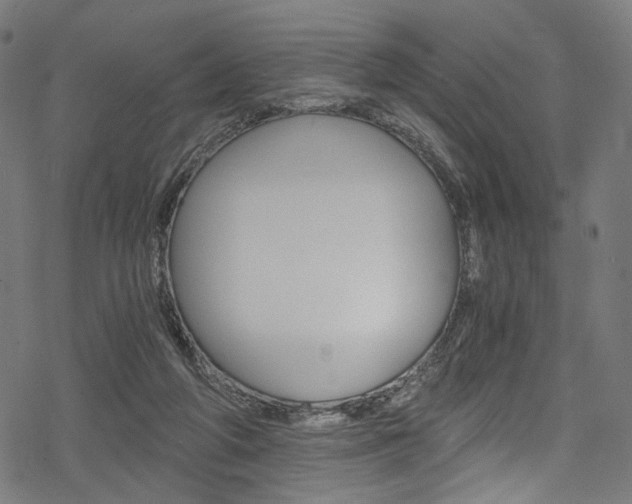 X0000078300210200611031025