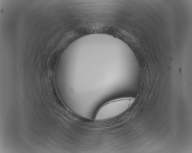 X0000078300225200611031025