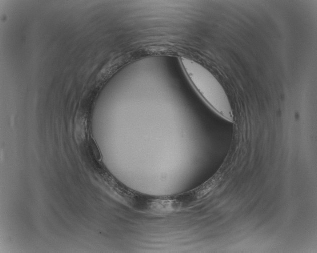 X0000078300227200611031025