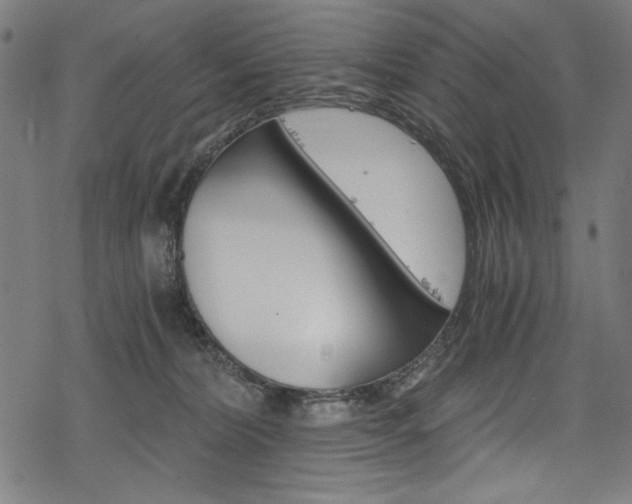 X0000078300228200611031025