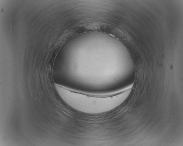 X0000078300229200611031025