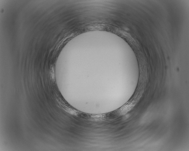 X0000078300240200611031025