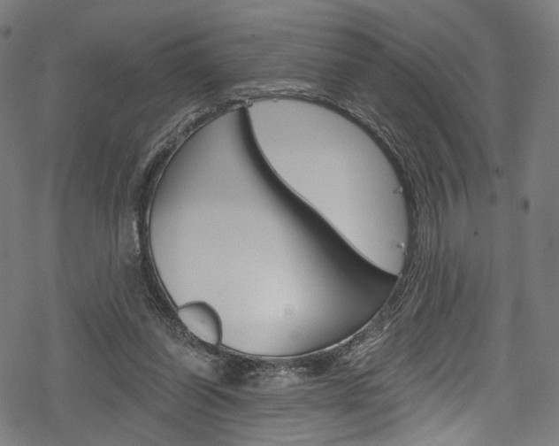 X0000078300254200611031024