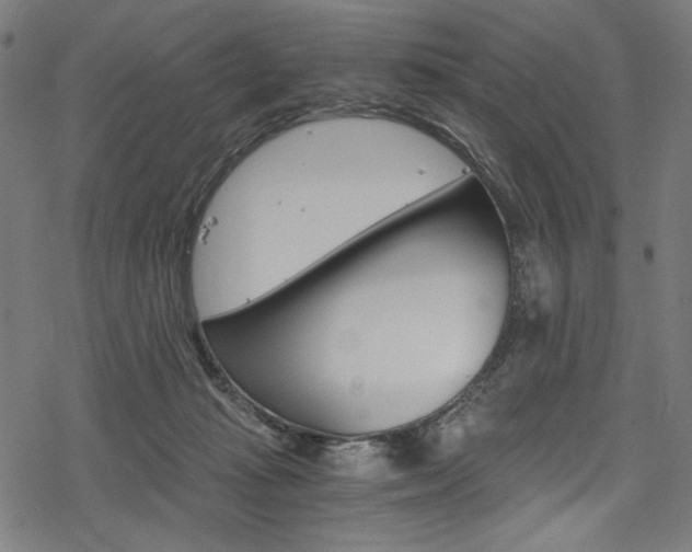 X0000078300269200611031024