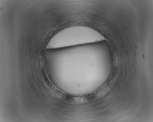 X0000078300272200611031025