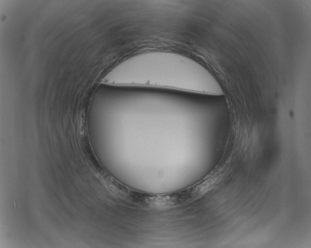 X0000078300273200611031025