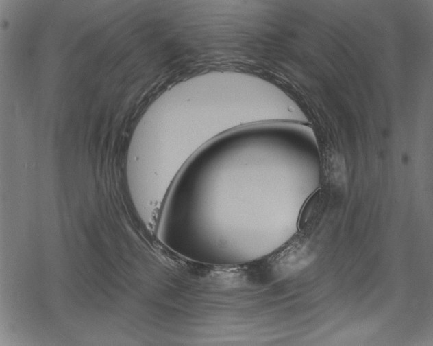 X0000078300280200611031025