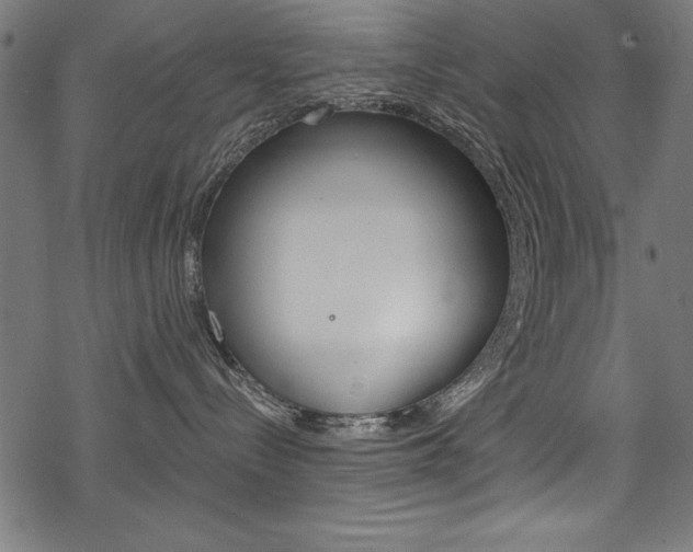 X0000078300288200611031025
