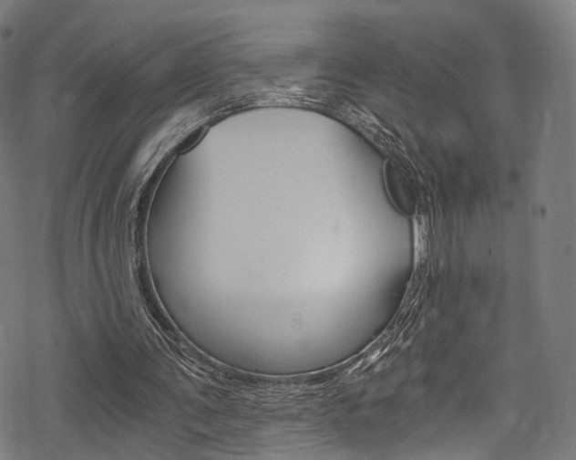 X0000078300291200611031024