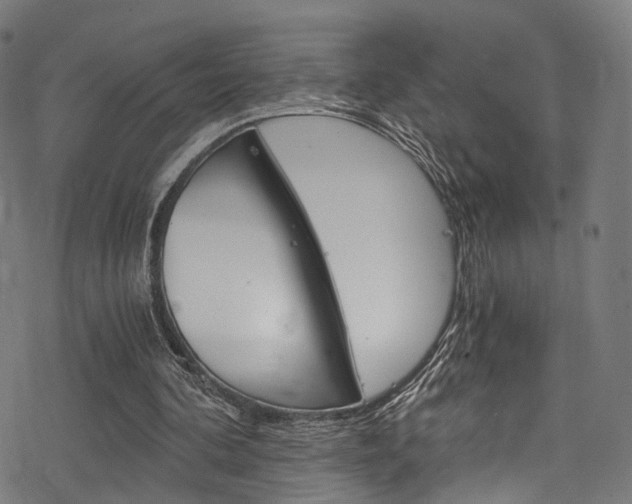 X0000078300292200611031024