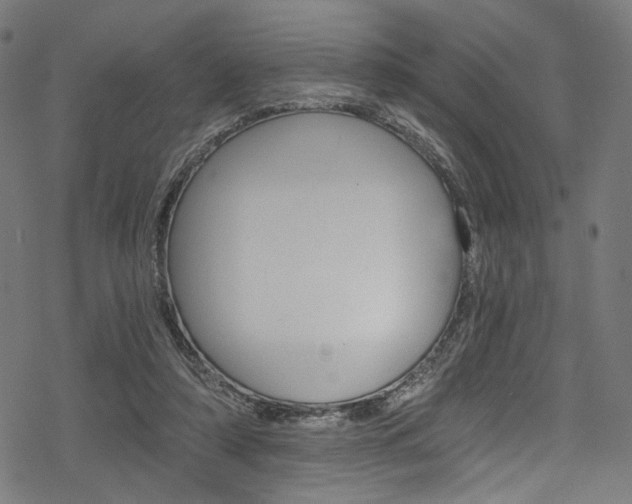 X0000078300306200611031024