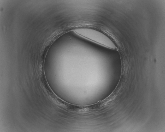X0000078300309200611031024