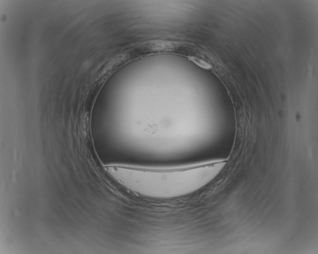 X0000078300325200611031023