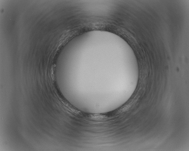 X0000078300336200611031023