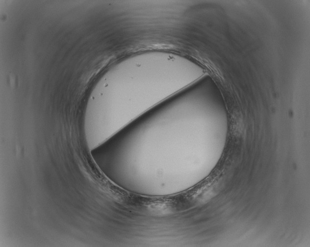 X0000078300358200611031023