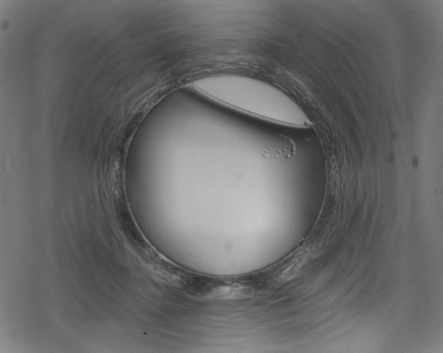 X0000078300364200611031023