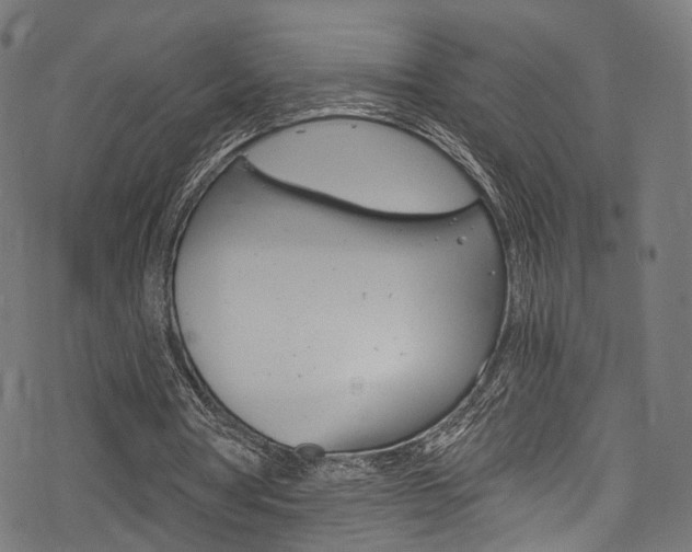 X0000078300386200611031022