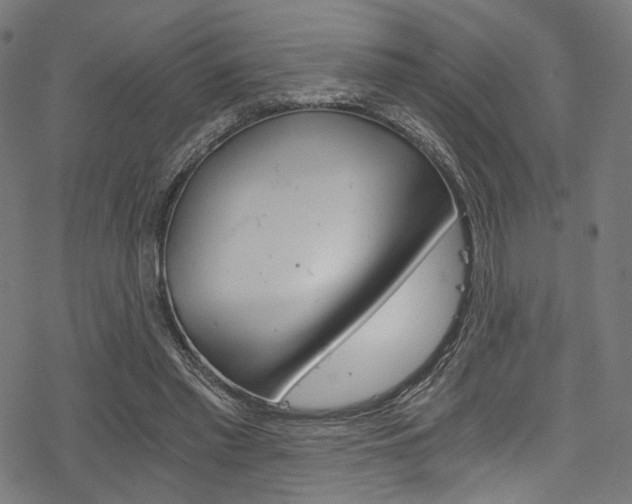 X0000078300397200611031022