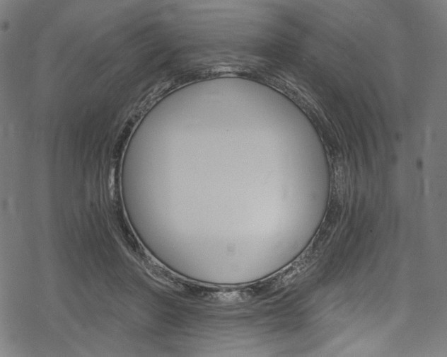 X0000078300406200611031022