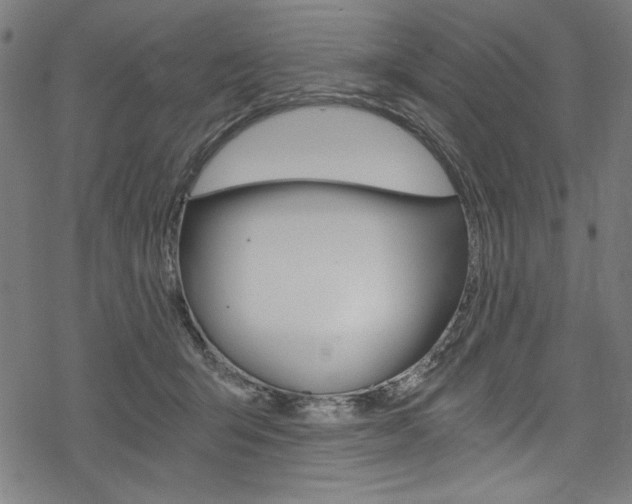 X0000078300415200611031022