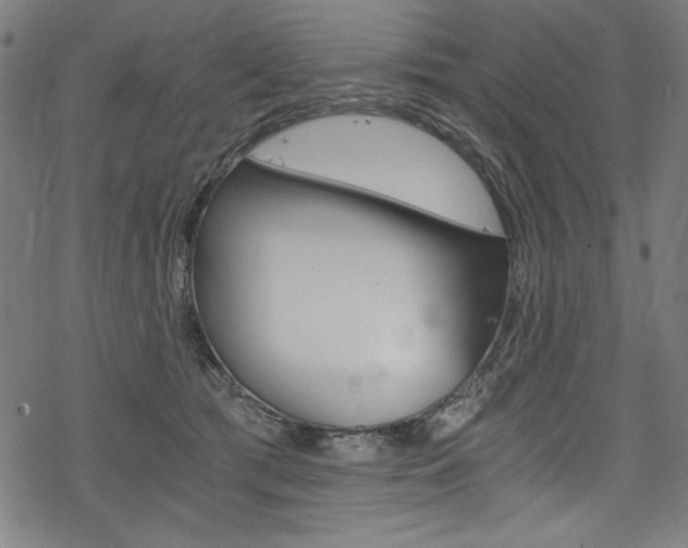 X0000078300417200611031022