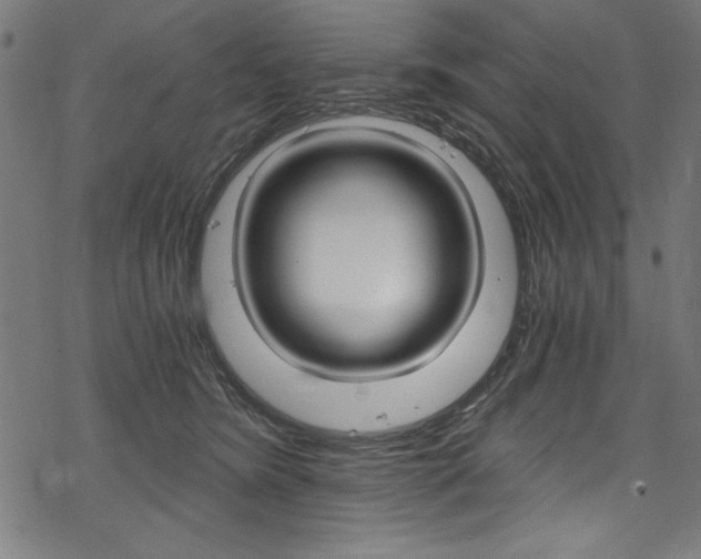 X0000078300420200611031022