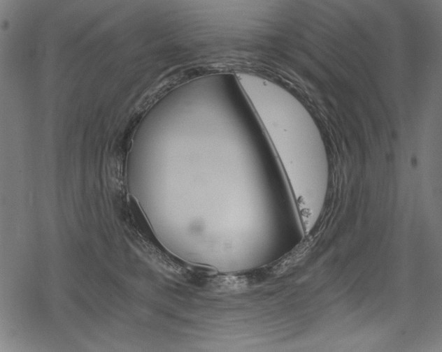 X0000078300421200611031022