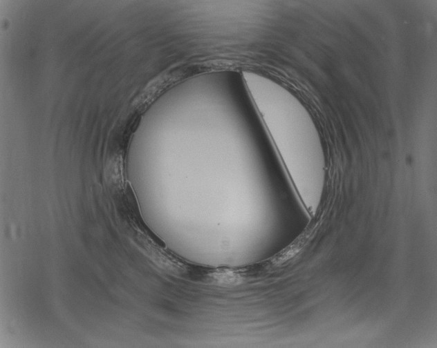X0000078300425200611031022