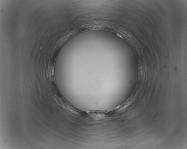 X0000078300429200611031022